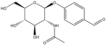 4-Formylphenyl 2-acetamido-2-deoxy-b-D-glucopyranoside