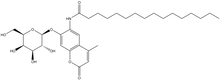 6-Hexadecanoylamino-4-methylumbelliferyl b-D-galactopyranoside