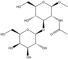Methyl 2-acetamido-2-deoxy-3-O-(b-D-galactopyranosyl)-b-D-glucopyranoside