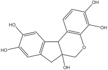 Hematoxylin