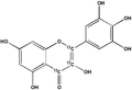 Myricetin-[13C3] 1mg