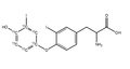 L-3,3’-Diiodothyronine-[13C6] (T2) 1mg