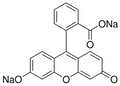 Fluorescein Disodium Salt 100 g