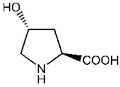 trans-4-Hydroxy-L-proline 10g