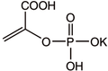 Phosphoenolpyruvic acid monopotassium salt 5g