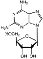 2-Aminoadenosine 1g