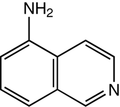 5-Aminoisoquinoline 1g