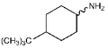 4-tert-Butylcyclohexylamine, cis + trans 5g