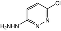 3-Chloro-6-hydrazinopyridazine 1g