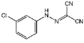 Carbonyl cyanide 3-chlorophenylhydrazone 100MG