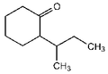 2-sec-Butylcyclohexanone 10g