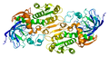 Alcohol Dehydrogenase - image by wiki user Emw
