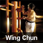 wing-chun.jpg