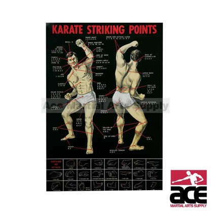 Karate striking points poster w/ high gloss finish. 36" x 24"