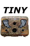 tiny.png