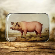 Vintage Pig Notions Tin - Large Size - by Firefly Notes