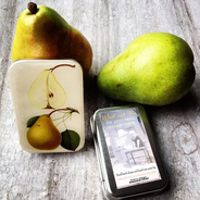 Botanical Pear Notions Tin - Large Size - by Firefly Notes