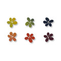 Fall Rainbow Flower Magnets S/6