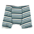 Kickee Pants Boxer Briefs, Multi Agriculture Stripe