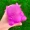 cow sugar squishy