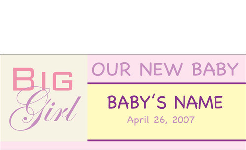 welcome home newborn banner sign vinyl design 24 dpsbanners com