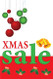 Holiday Sale Posters Style3100