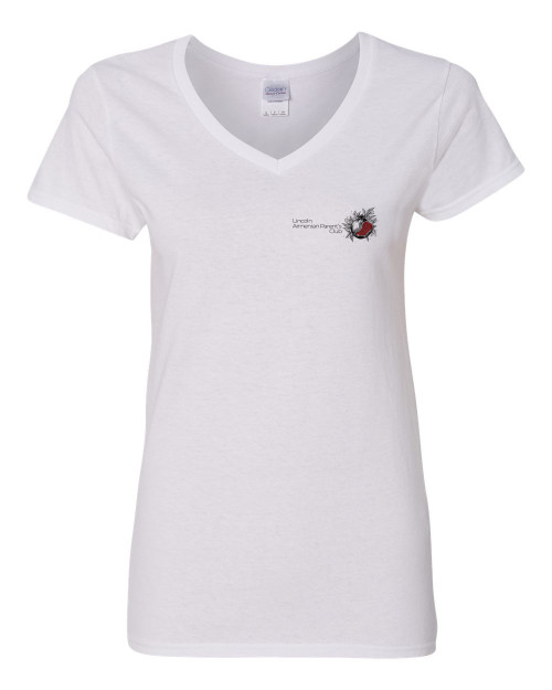 Women's Heavy Cotton V-Neck T-Shirt Front