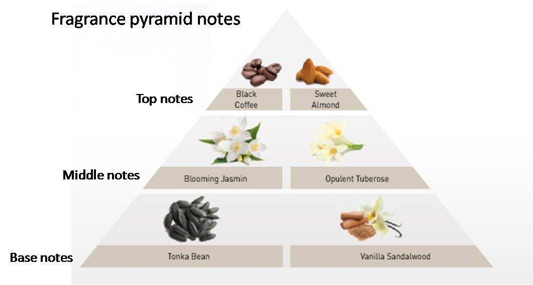 emilia-perfume-ingredients-pyramid-rev.jpg