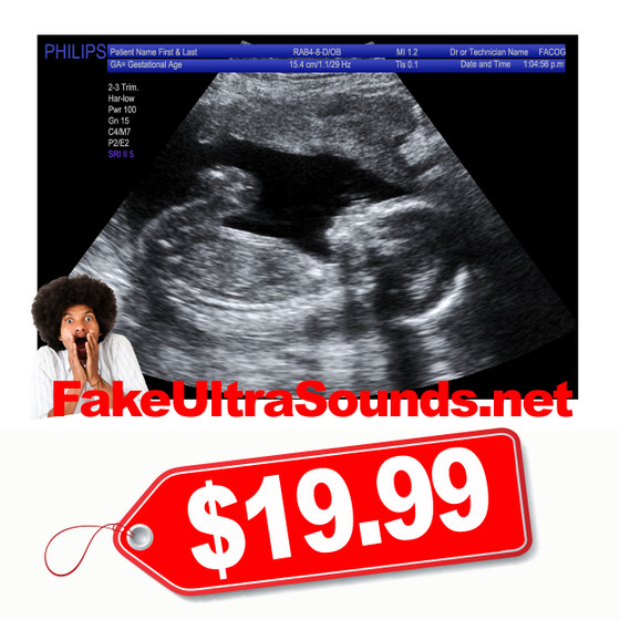 2D Fake Ultrasound Sonogram with Blue Info Bars at the Top