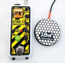 Rainger FX ECHO-X digital delay (& Igor) mini-pedal guitar