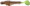 Pulse R Paddle Tail Goldcracker/Chartreuse Tail