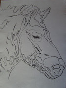 Dynamic Andy Warhol, Original Works Vanishing Animals - Mongolian Wild Horse, 1986 