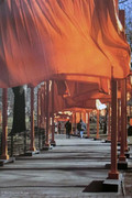 Dynamic Christo The Gates Project, Photo #26