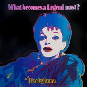 Hand Signed Ads: Blackglama (Judy Garland) FS II.351 By Andy Warhol