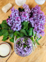 fresh lilac blossom tincture 