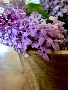 Lilac Spring Collection