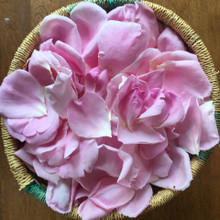 Rose Summer Collection