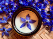 Borage Creme
