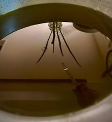 Naturally Beautiful: Herbal Skin Care from the Garden