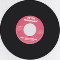 Peter Hunnigale : Let's Stay Together 7"