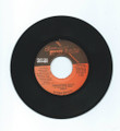 Sizzla : Done Nothing For Us 7"