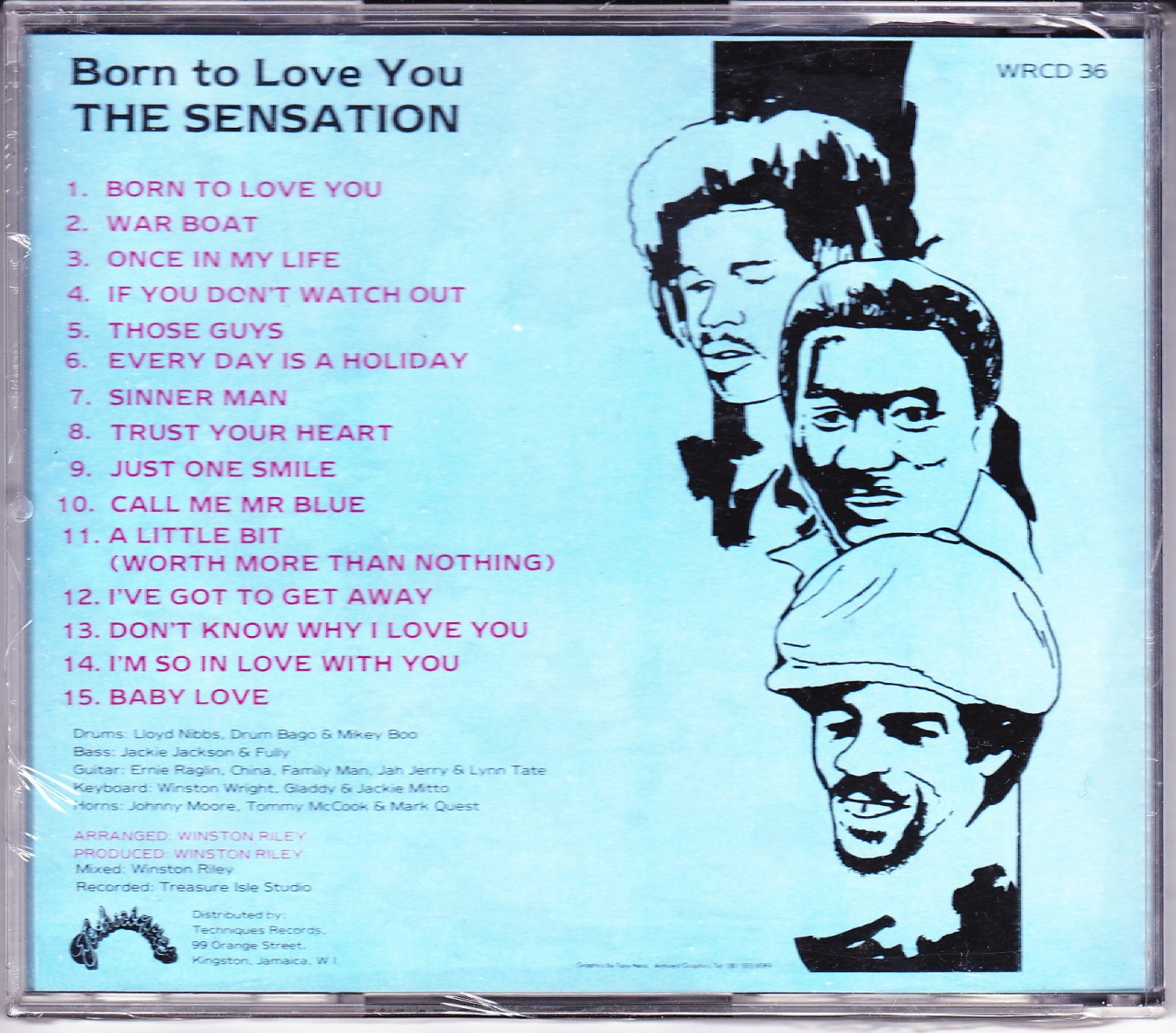 洋楽 THE SENSATION born to love you LP 洋楽 THE SENSATION born to love you LP THE SENSATION born to love