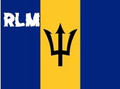Barbados : Flag (3' x 5')