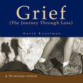 COMPANION ON THE JOURNEY/GRIEF by David Kauffman