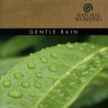 GENTLE RAIN by David Arkenston
