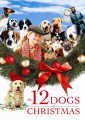 12 DOGS OF CHRISTMAS -DVD
