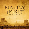 NATIVE SPIRIT by David Arkenstone