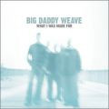 WHAT I WAS MADE FOR by Big Daddy Weave