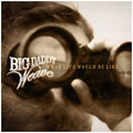 WHAT LIFE WOULD BE LIKE by Big Daddy Weave