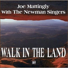 WALK IN THE LAND by Joe Mattingly